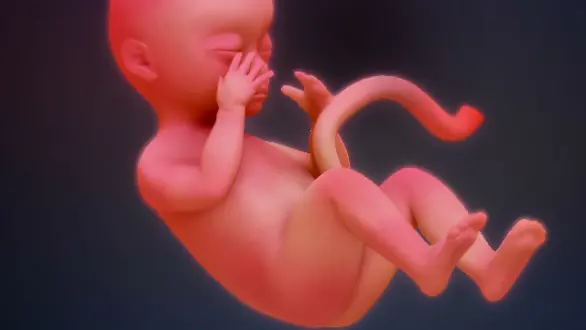 week-20
