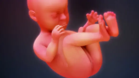 week-34