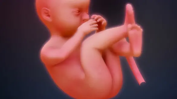 week-36
