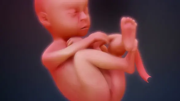 week-37