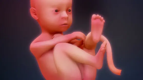 week-38