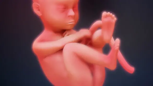 week-39